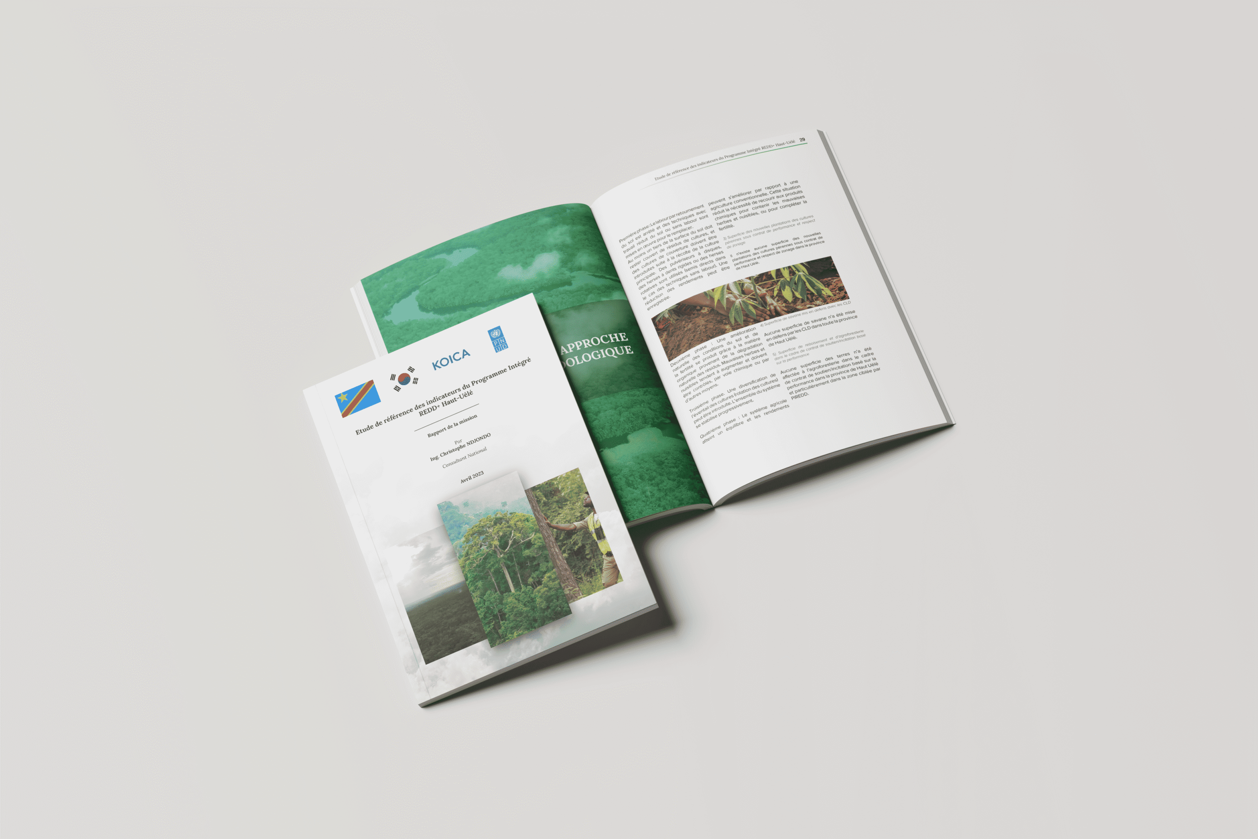 Mise en page d’un rapport du PNUD – RD Congo